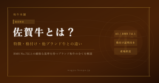 佐賀牛とは？特徴・格付け・他ブランド牛との違いを徹底解説