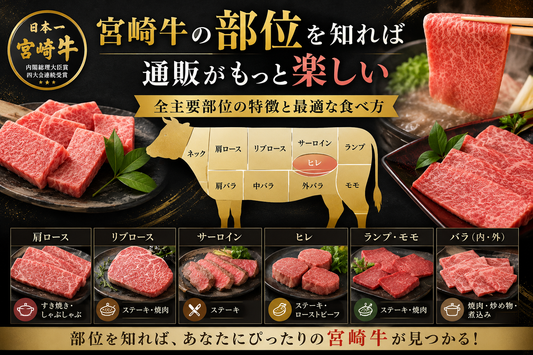 宮崎牛の部位を知れば通販がもっと楽しい｜全主要部位の特徴と最適な食べ方